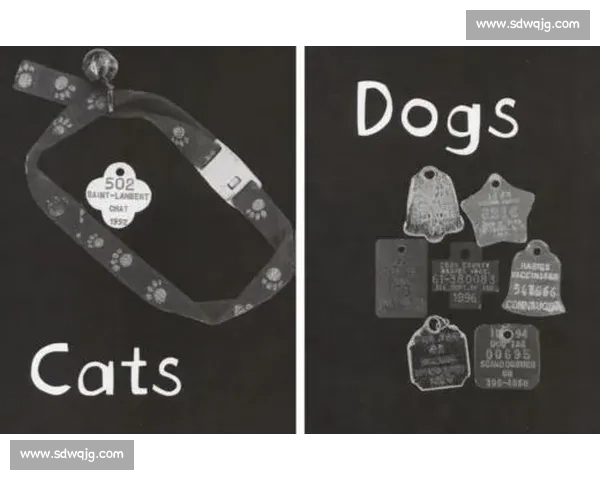 令人心碎的失利，意大利队能否走出阴影重返巅峰